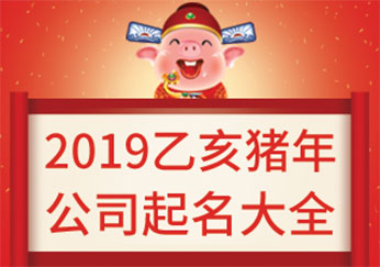 2019乙亥猪年公司起名大全