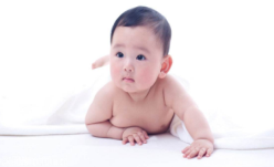 取名宝典2019 一个满意的名字应该如何起