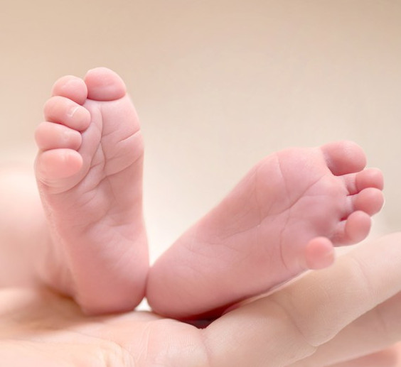 11月出生的女龙宝宝取名字